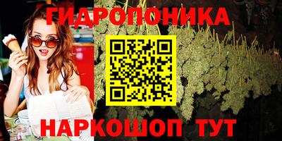 apvp Кинель