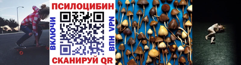 kraken tor  Лосино-Петровский  Галлюциногенные грибы Magic Shrooms 