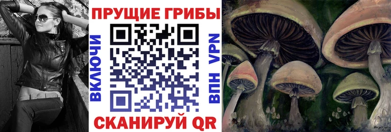 Галлюциногенные грибы Psilocybine cubensis Лосино-Петровский