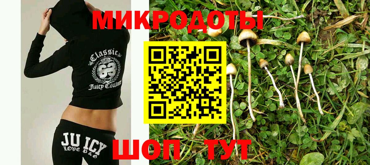 Галлюциногенные грибы Psilocybe Лосино-Петровский